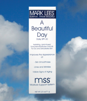 A Beautiful Day by Mark Lees