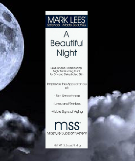 A Beautiful Night by Mark Lees